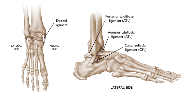 Ankle Sprains