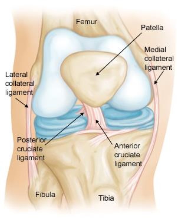 acl tear