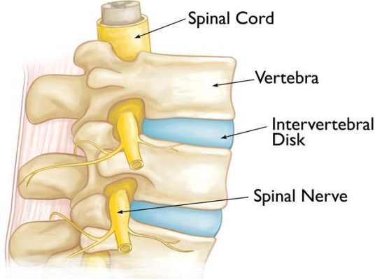 osteoporotic spine fractures